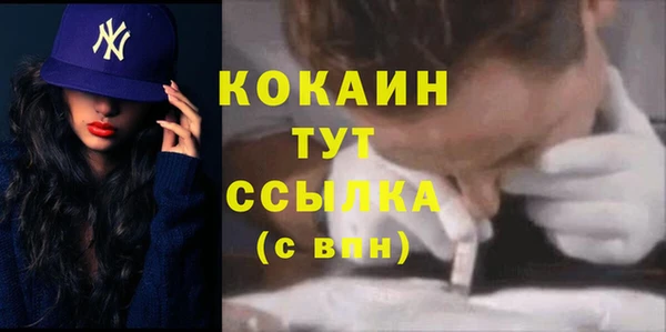 меф Горняк