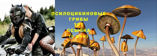 меф Горняк